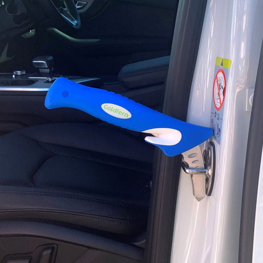 Goldfern Car Exit Aid