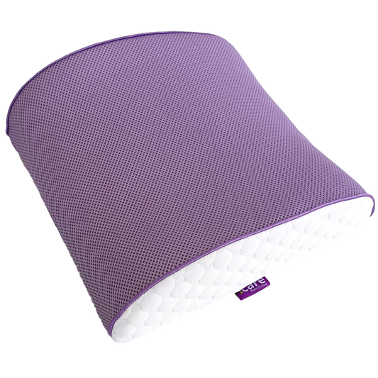 Icare Back Cushion (LNG-IC163)